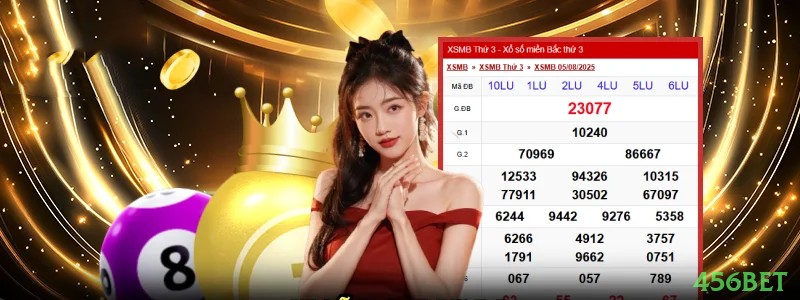 Controles de paJogonto e BRL em 456bet